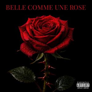 Belle comme une rose