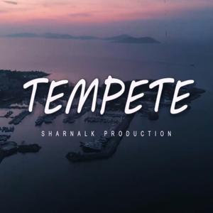 TEMPETE (Sad Boom Bap type beat)