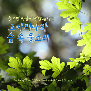 밀려오는 그리움 (The surging longing)