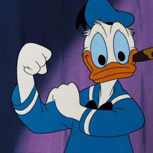 你的承诺 COVER海明威