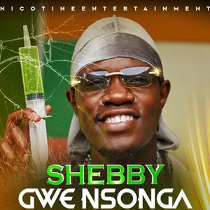 Gwe nsonga