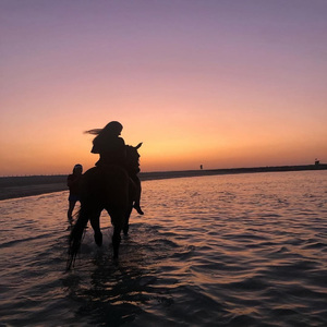 容祖儿-习惯失恋（DJ5xG remix）