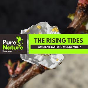 A Windy Country Morning