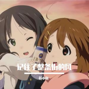 记住了整条街的风