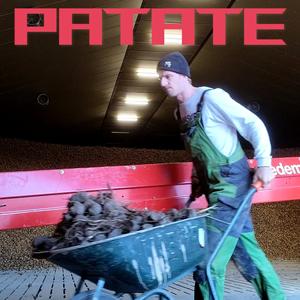 Patate