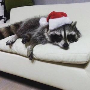 Eve (feat. Jaguar & Saints)