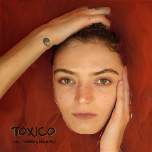 Tóxico
