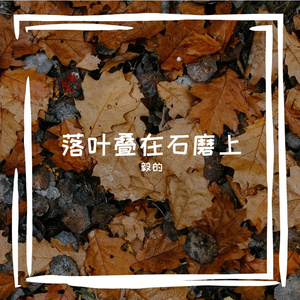 溪声指纹