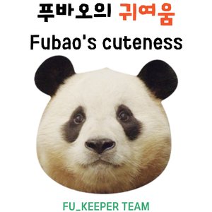 푸바오의 귀여움(Fubao's Cuteness)
