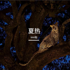 青铜马低垂的颈