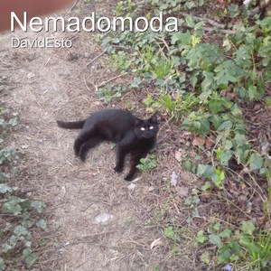 Nemadomoda