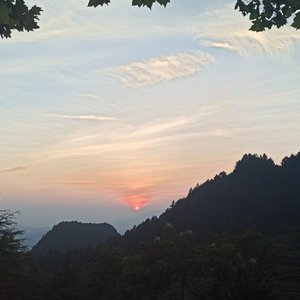 阿尔兹海默的爱（翻自 白举纲）