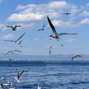 VIP终极迷幻 第十九期