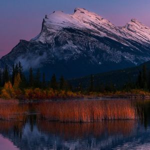 生命之旅的星光指引