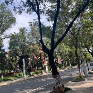 ARTUFUCUAL INTELLIGENCE 51