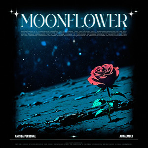 moonflower