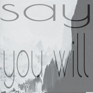 Say you will