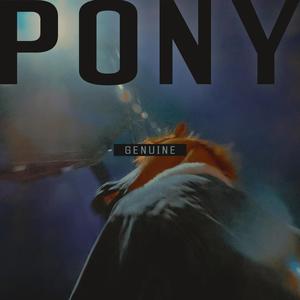 Pony