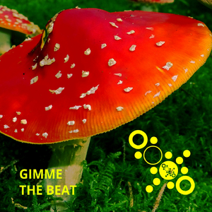 Anxiolytic (DJ Tool)