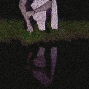 exp1