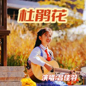 吕佳羽-杜鹃花