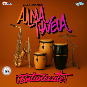 Tunecazomix La Negra Tomasa: La Negra Tomasa / La Sirenita (El Sirenito) / Vivir Es Vida / Mi Matamoros Querido / Mil Horas / Mi Cucu / The Look