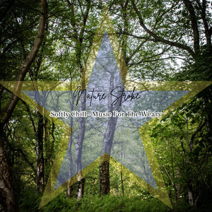 Shadows Enveloping Comfort