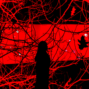 血腥爱情故事（翻自 张惠妹）