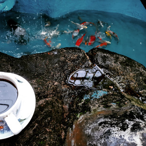 High Above the Clouds