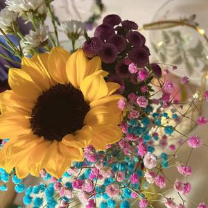 安妮和阿木木的爱情故事