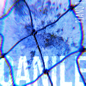 Canile