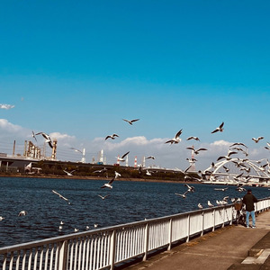 じゃあもうてっぺんまでいけ