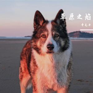 草原飞驰