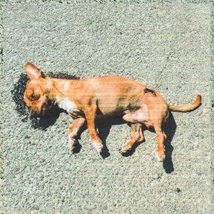 Bothered (You're So)