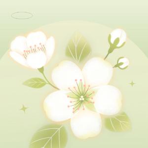 春光明媚 春意盎然