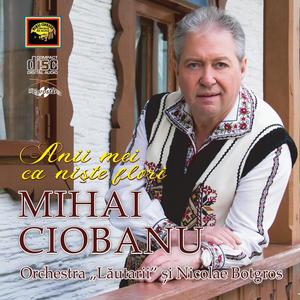 Bate vantul valurele