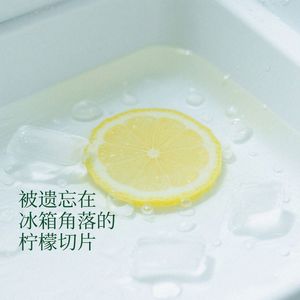 被遗忘在冰箱角落的柠檬切片