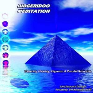Solar Plexis Chakra (feat. Dirk Barkemeijer de Wit)
