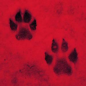 City of Angels (feat. Madison Arruda)