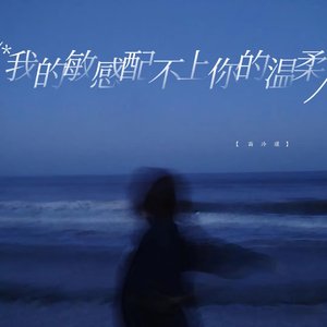 《我的敏感配不上你的温柔》
