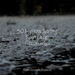 Swift Current Dreams