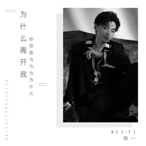 为什么离开我 (你到底为为为为什么)