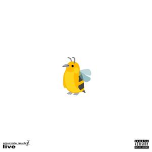 thies (The Acoustic Dandy Sessions)