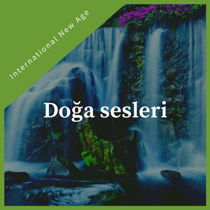 Adumbration, Night Sounds