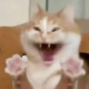 Stop Playing (sped up)