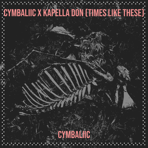 Cymbaliic X Kapella Don (Times Like These)