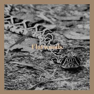 Flatwoods