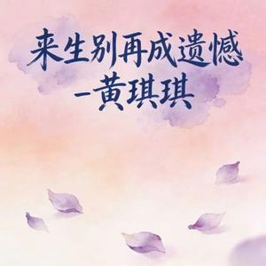 来生别再成遗憾 (烟嗓版)