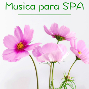 Luces Apagadas