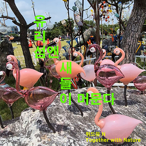 유리섬엔 새들이 머문다